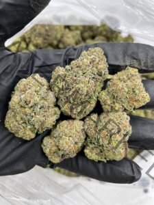 Buy Apple Tart Strain | Tart Apple Hybrid with Creamy Gas Flavor