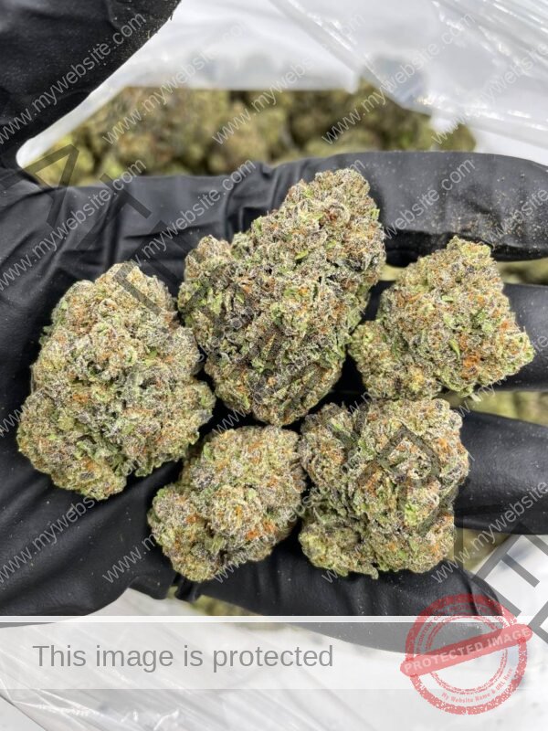 Buy Apple Tart Strain | Tart Apple Hybrid with Creamy Gas Flavor