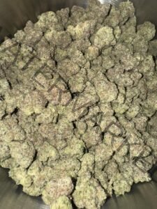 Buy Bully Kush Strain | Gassy Hybrid with Floral Overtones
