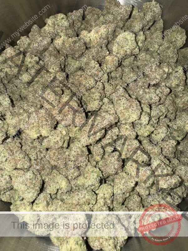 Buy Bully Kush Strain | Gassy Hybrid with Floral Overtones