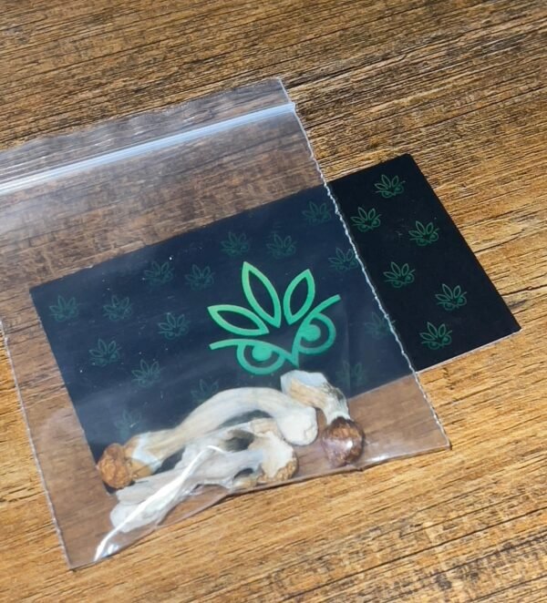 Buy Ecuadorian Mushroom | Premium Psilocybe Cubensis from the Andes
