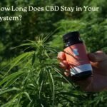 How Long Does CBD Stay in Your System: Urine, Blood & Hair