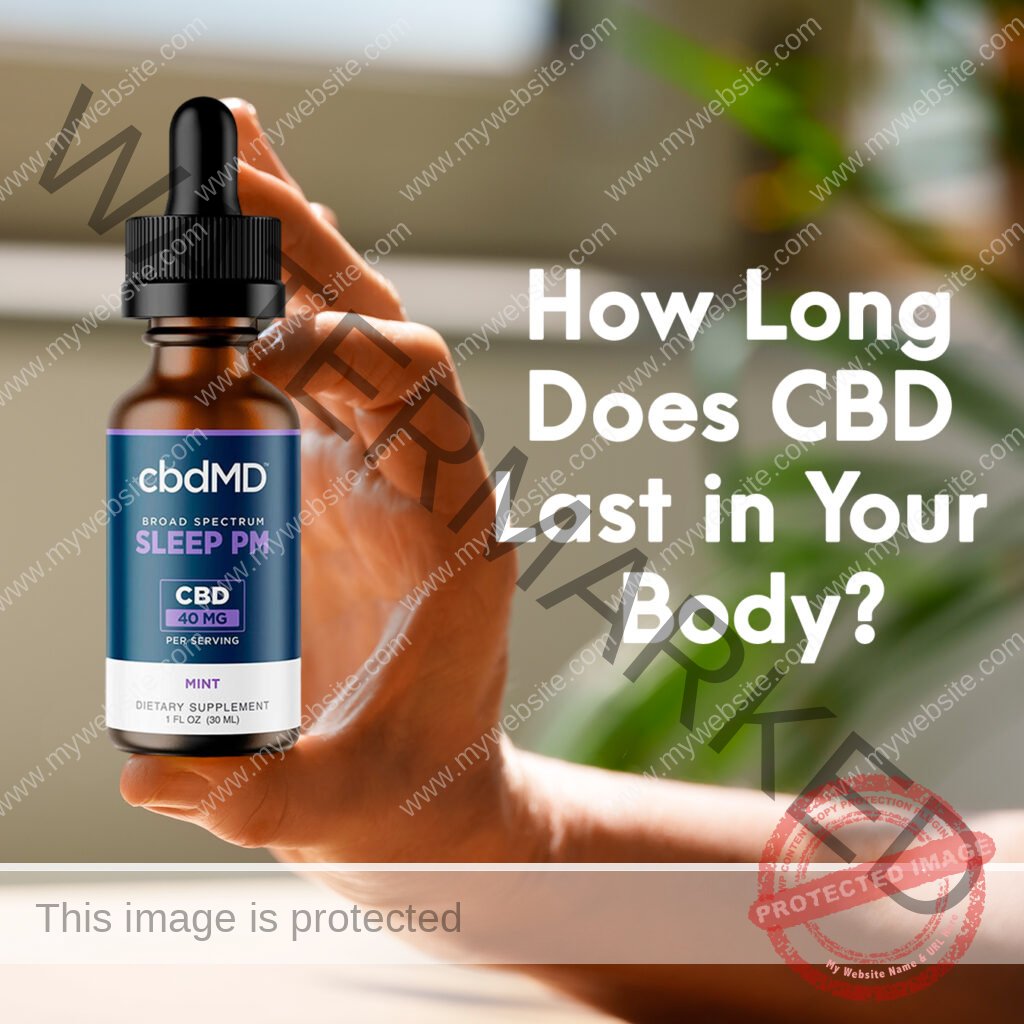 How Long Does CBD Stay in Your System: Urine, Blood & Hair