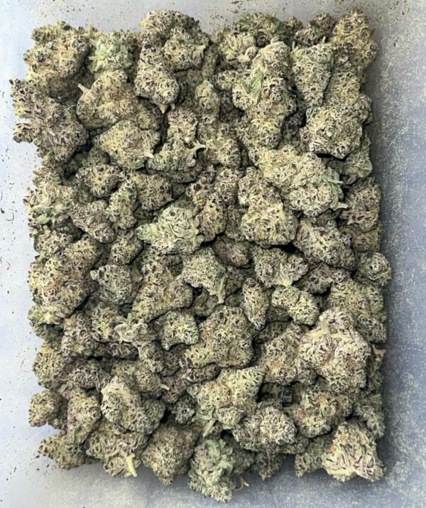 Buy Ice Cream Gelato Strain | Sweet Hybrid with Euphoric & Relaxing Effects