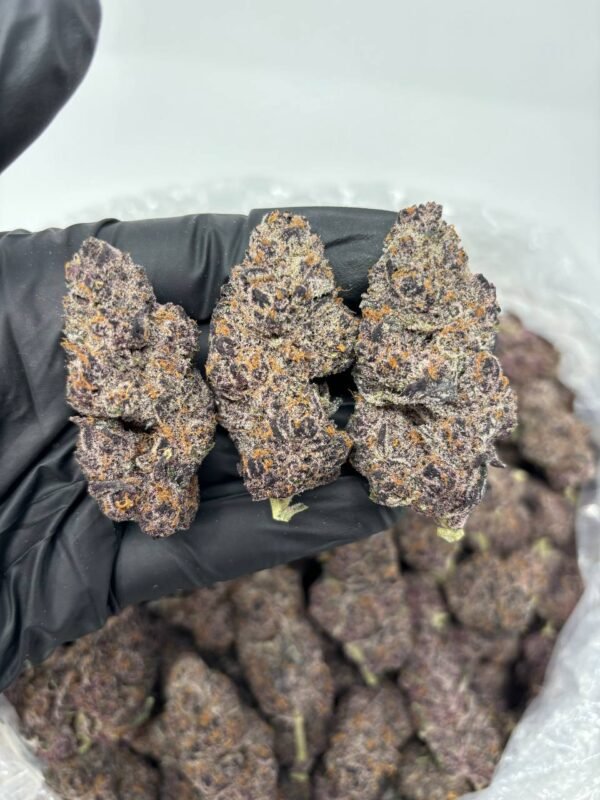 Buy Purple Punch Strain | Sweet Indica Hybrid with Sedating Effects