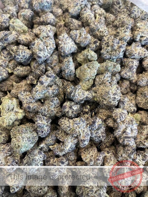 Buy Runtz Mintz Strain | Sweet Minty Hybrid Cannabis for Sale