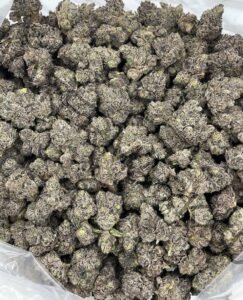 Buy Galactic Runtz Strain | Potent Exotic Hybrid with Cosmic Flavor