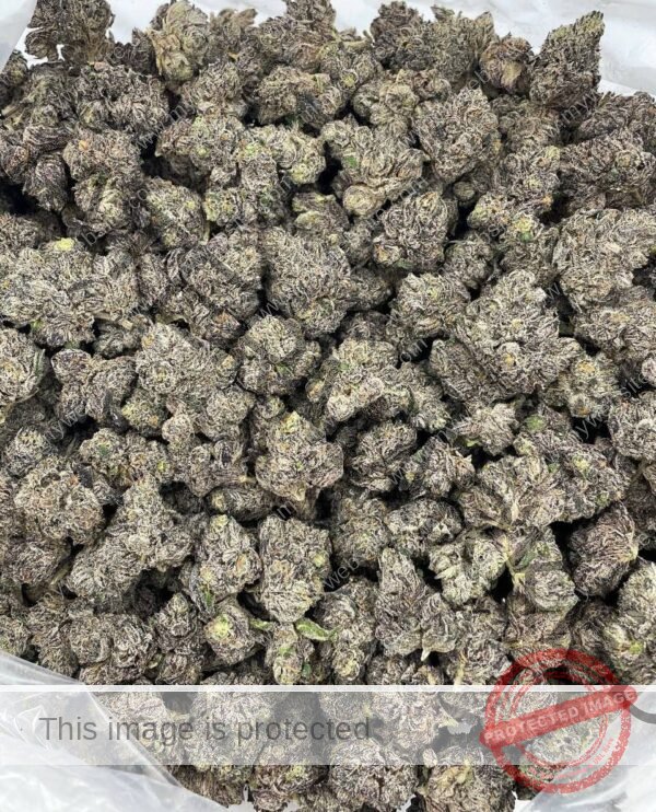 Buy Galactic Runtz Strain | Potent Exotic Hybrid with Cosmic Flavor