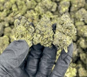 Buy Peanut Butter Breath Strain | Nutty Hybrid for Deep Relaxation & Euphoria