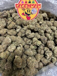 Buy Cotton Candy Strain: Sweet, Potent & Premium Cannabis