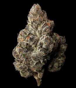 Buy Lemon Cherry Runtz Strain | Premium Hybrid Cannabis