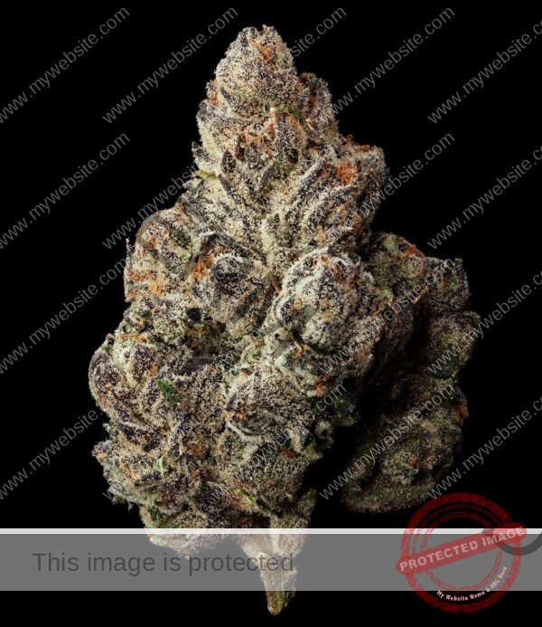 Buy Lemon Cherry Runtz Strain | Premium Hybrid Cannabis