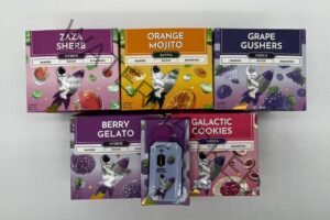 Buy Space Club Disposable | Premium 2g THC Vapes with Bold Flavor