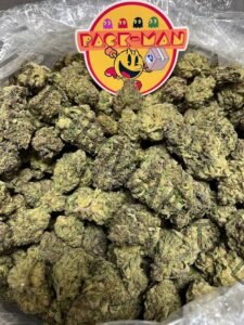 Buy Jet Fuel Gelato Strain | Premium Hybrid with Diesel & Floral Notes