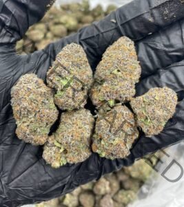 Buy Atomic Apple Strain | Explosive Flavor & Balanced Hybrid Effects