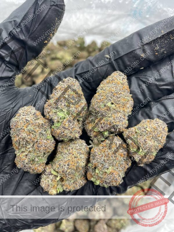Buy Apple Gelato Strain | Premium Quality & Potent Effects