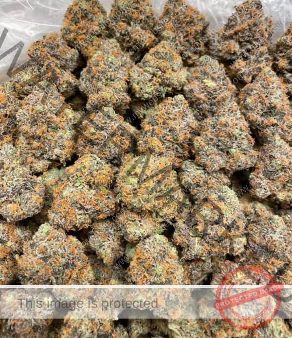 Buy Platinum Cookies Strain | Premium Hybrid with Sweet Earthy Flavor