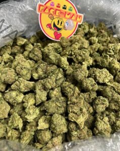 Buy Gorilla Mints Strain | Potent Hybrid with Minty Diesel Flavor