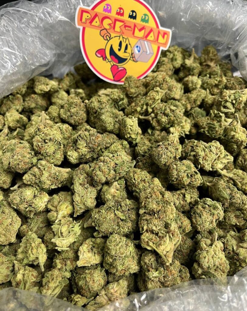 Gorilla Mintz strain Pack Man Ships