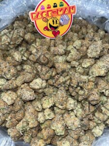 Buy Northern Lights Haze Strain | Uplifting Sativa-Dominant Classic