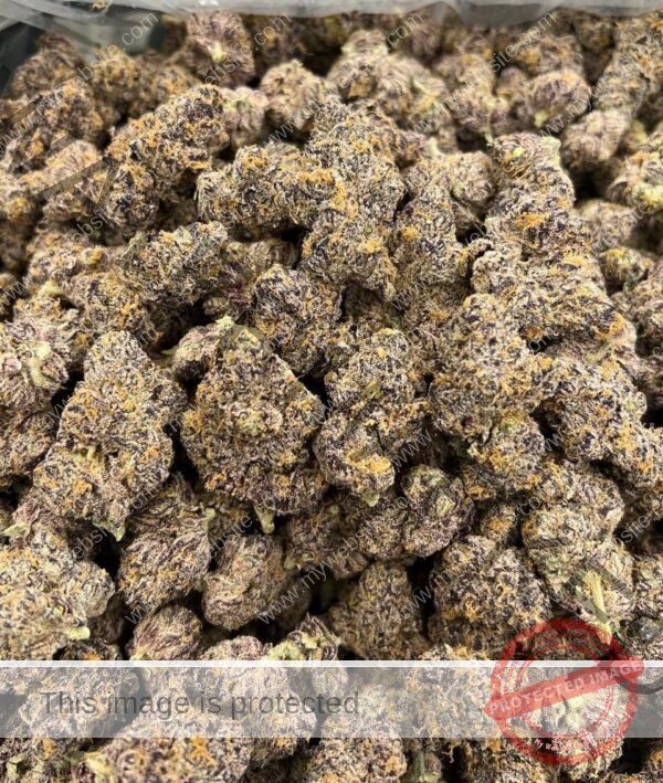 Buy Purple Push Pop Strain | Exotic Hybrid with Creamy Berry Flavor & Chill Vibes
