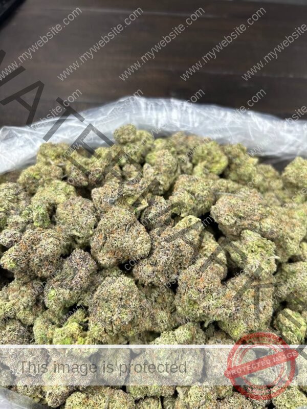Buy Nine Nine Six Strain: Premium Gelatti x Kush Mints Buds