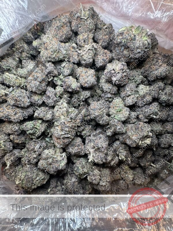 Buy Blue Candy Strain: Sweet Hybrid, Potent Effect & Flavor