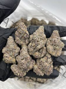 Buy Doja Strain: Authentic, Top-Shelf Quality Cannabis