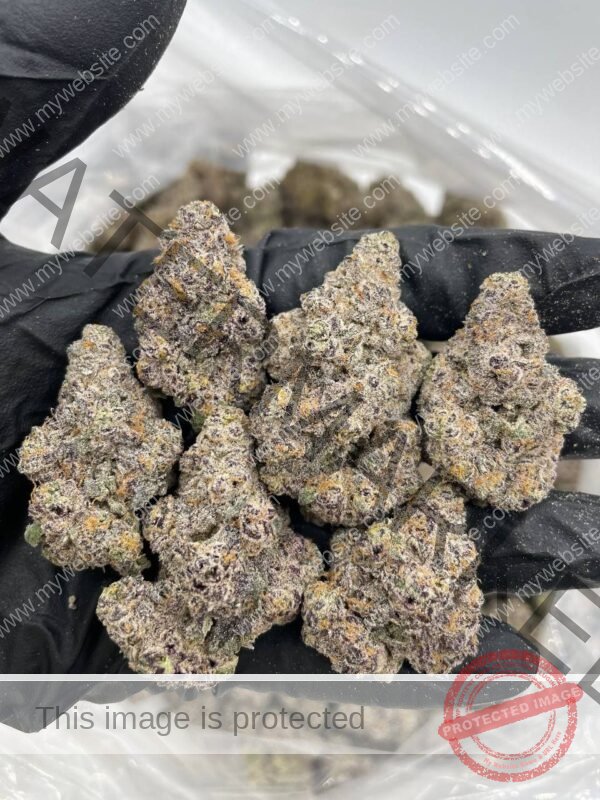 Buy Doja Strain: Authentic, Top-Shelf Quality Cannabis