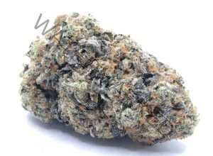 Buy Gorilla Cookies Strain: Potent Hybrid Cannabis Flavor