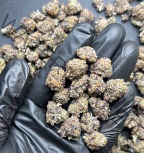 Buy Gush Mintz Strain | Potent Exotic Hybrid Cannabis