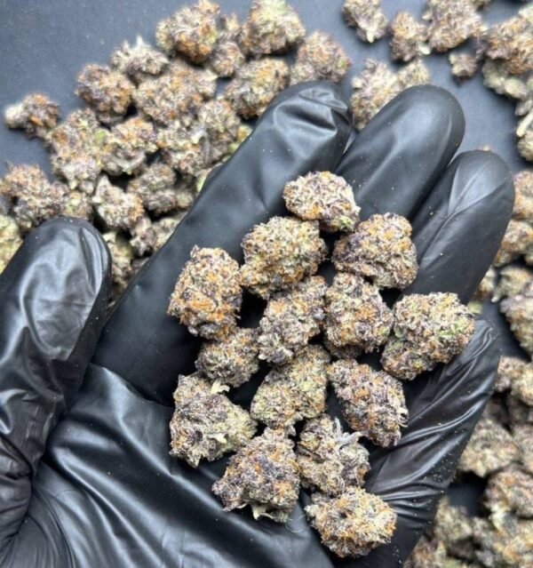 Buy Gush Mintz Strain | Potent Exotic Hybrid Cannabis