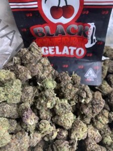 Buy Black Cherry Gelato: Luxurious Hybrid with Sweet Berry Flavor