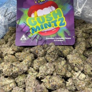 gush mintz strain