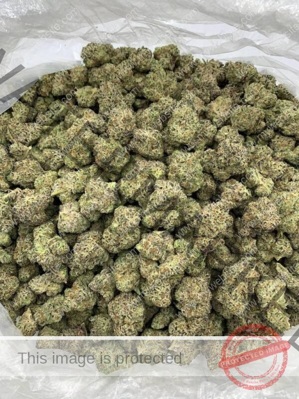 Buy Lemonhead Strain: Citrus-Packed Hybrid, Uplifting Effect