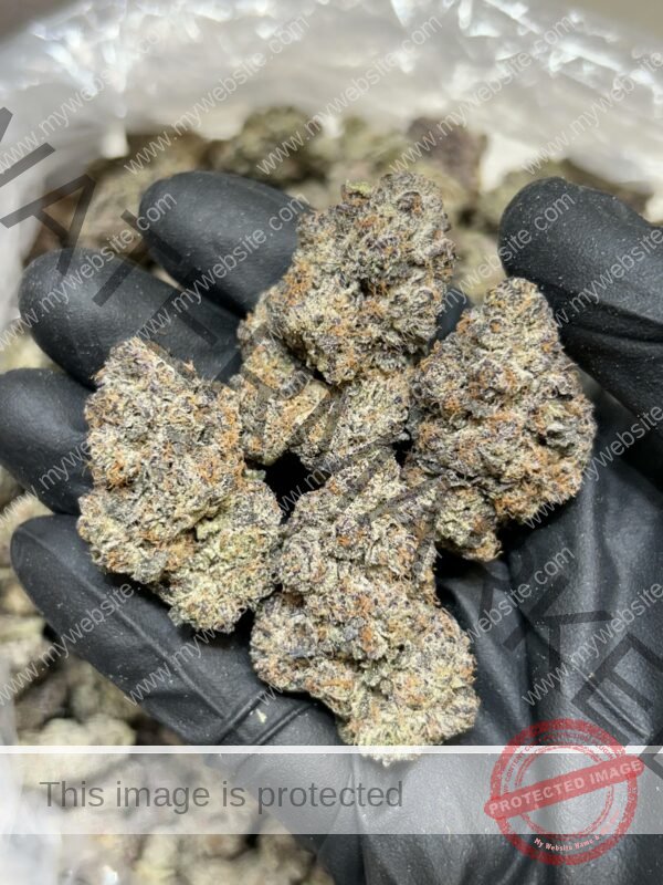 Buy Loaf Strain: Quality Cannabis for Relaxation & Flavor