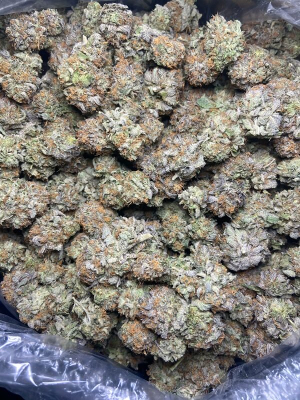 Buy London Jelly Strain - Premium Hybrid Cannabis Flavor