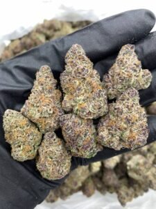 Buy Purple Gummy Strain: Sweet & Potent Indica Hybrid