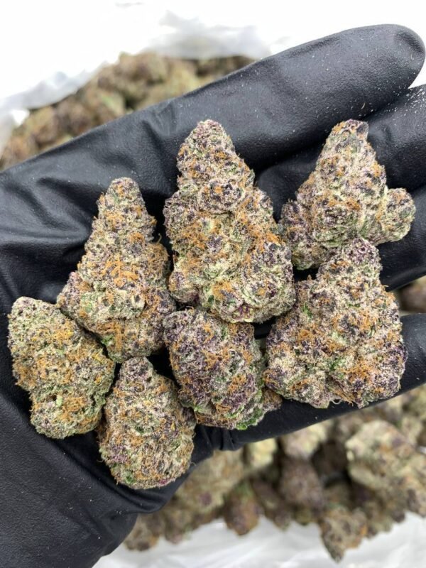 Buy Purple Gummy Strain: Sweet & Potent Indica Hybrid