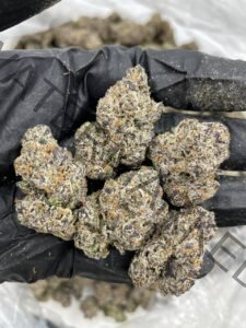 Buy Snow Montana Strain: Rare Hybrid with Frosty Potency