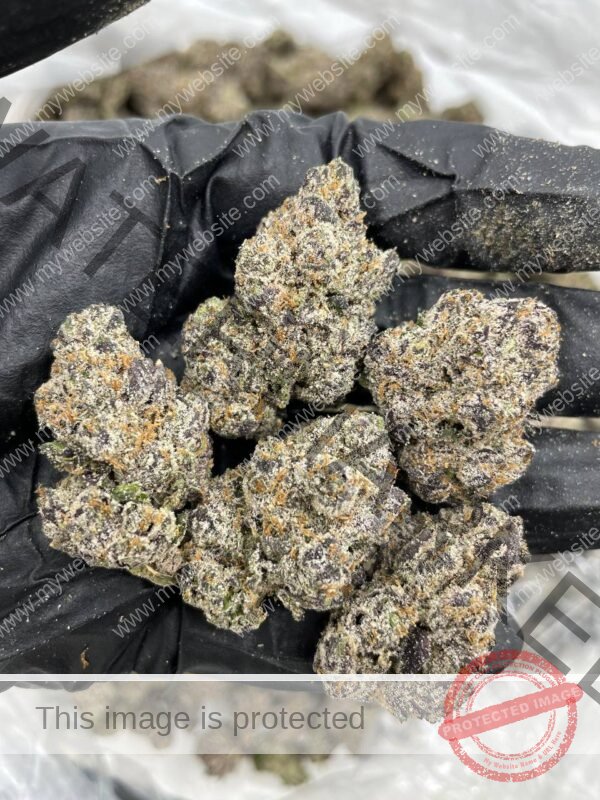 Buy Snow Montana Strain: Rare Hybrid with Frosty Potency