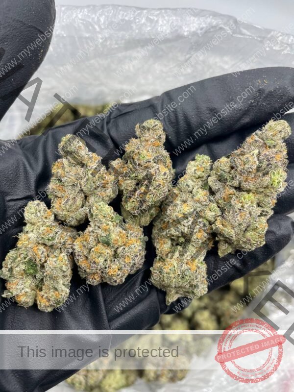 Buy Super Lemon Cherry Strain: Potent Effects & Flavor