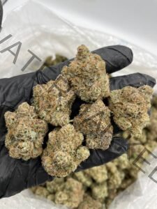 Zeus Strain OG: Award-Winning Buds for Pain, Stress & Sleep