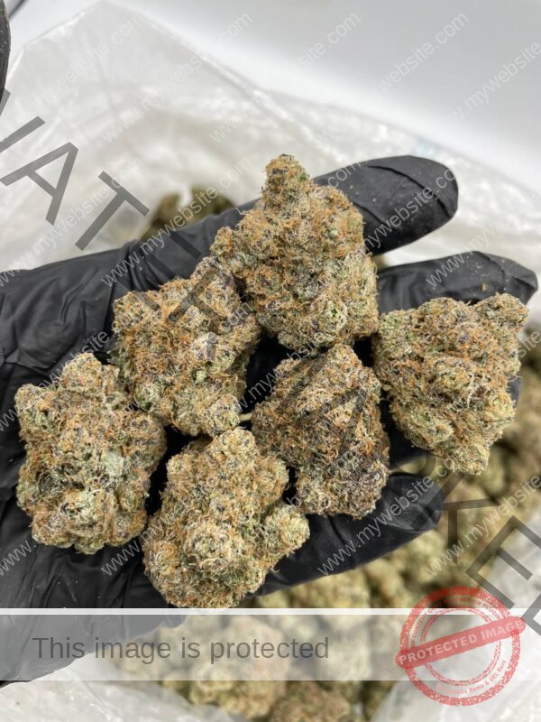 Zeus Strain OG: Award-Winning Buds for Pain, Stress & Sleep
