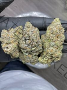Zeus Strain OG: Award-Winning Buds for Pain, Stress & Sleep