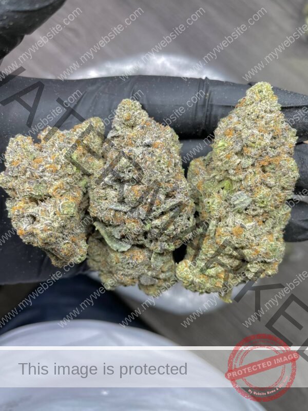 Zeus Strain OG: Award-Winning Buds for Pain, Stress & Sleep