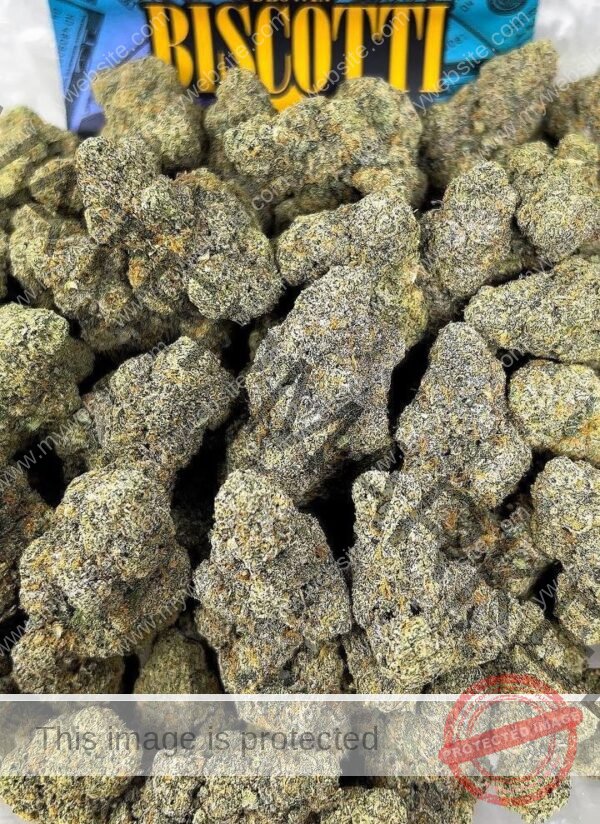 Buy Biscotti Strain: Indulgent Flavor & Potent High
