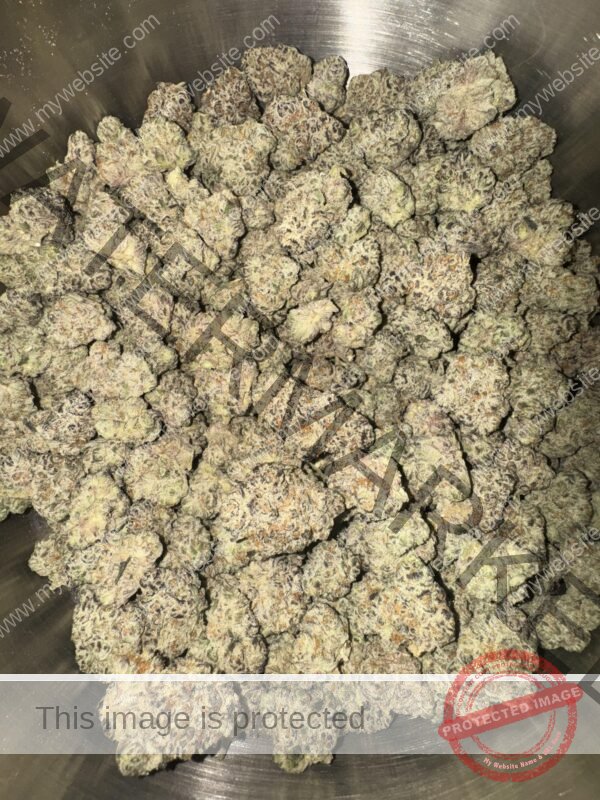 Buy Onion Ring Strain: Earthy, Potent & Flavor-Packed Buds