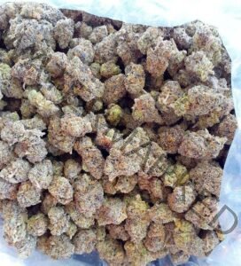Buy Onion Ring Strain: Earthy, Potent & Flavor-Packed Buds