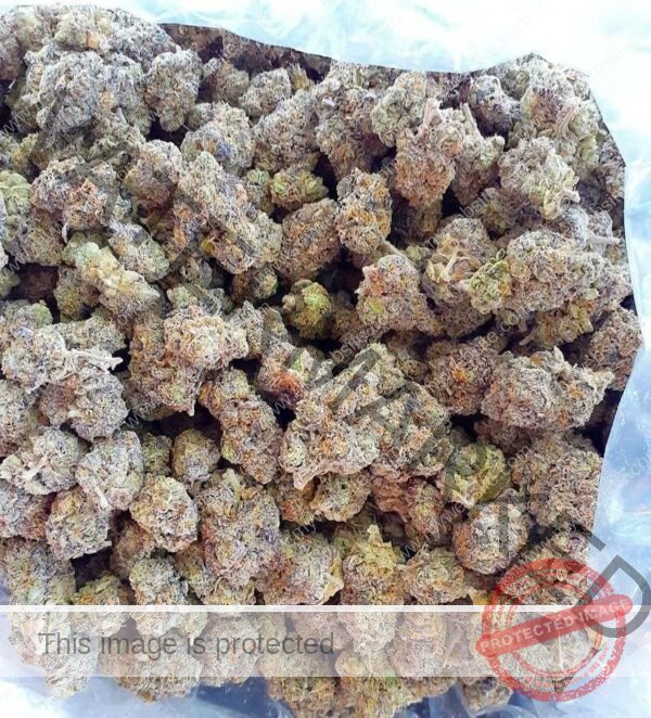 Buy Onion Ring Strain: Earthy, Potent & Flavor-Packed Buds